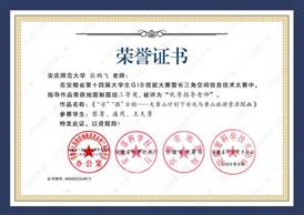 14届GIS大赛获奖教师证书-13 JA013365英国上市网站官网张鹏飞
